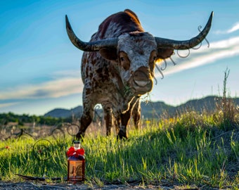 Balcones Texas Bock Wall Photo Print, Texas Whiskey Canvas Photo, Texas Bourbon Wall Art, Bourbon Whiskey Bar Decor, Shiner Bock Man Cave