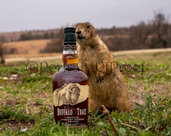 Buffalo Trace Bourbon Whiskey Wall Photo Print, Kentucky Whiskey Canvas Photo, Kentucky Bourbon Wall Art, Man Cave Bourbon Whiskey Bar Decor