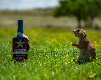 Garrison Brothers Balmorhea Wall Print, Texas Whiskey Canvas Photo, Texas Bourbon Metal Wall Art, Bourbon Whiskey Bar Decor, Man Cave