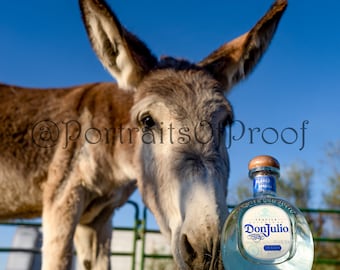 Don Julio Blanco Tequila Wall Photo Print, Drunken Mule Canvas Photo, Tequila Wall Art, Unique Bar Decor, Tequila Shots Man Cave Art