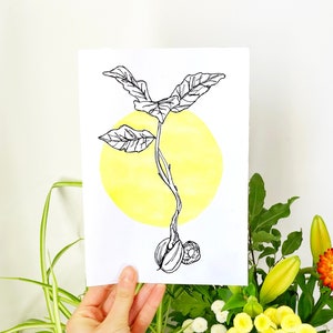 Könnte beinhalten: Eine Schwarzweiß-Zeichnung eines Kaffeepflanzensprosses, der aus einem Samen wächst. Der Spross hat zwei Blätter und wächst in Richtung einer gelben Sonne. Die Zeichnung ist auf weißem Hintergrund.