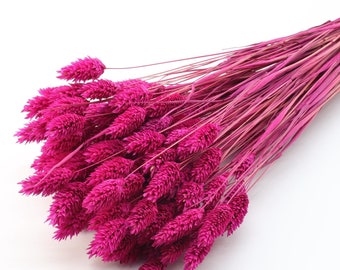 80 pcs Fuchsia Pink Dried Phalaris | Dark Pink Canary Grass | Dried Flower Bunch | Hot Pink Wedding | Bridal Bouquet | Eye-Catching Decor