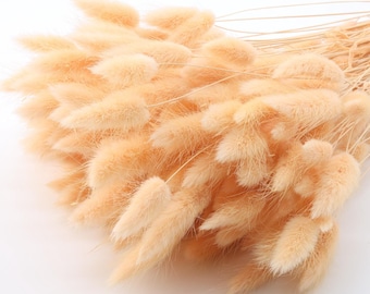 Peach Dried Lagurus Bunch