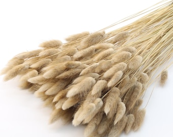 Dried Natural Lagurus | Dried Grass Bouquet | Rabbit Bunny Tails | Boho Decoration| Beige Dried Flowers | Wedding Bouquet | Centerpiece
