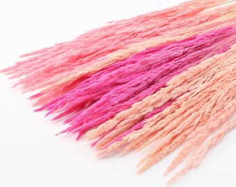 Dried Pampas Grass - 3 Shades of Pink - 50 pcs | Dried Grass Bundle | Dried Wildflowers | Pink Wedding | Bridal Bouquet | Eye-Catching Decor