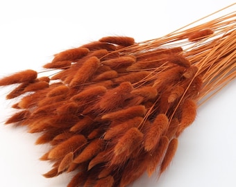 Brown Dried Lagurus Bunch | Deep Rust Orange Dried Grass | Bunny Tails | Fall Centerpiece | Autumn Wedding Bouquet | Thanksgiving