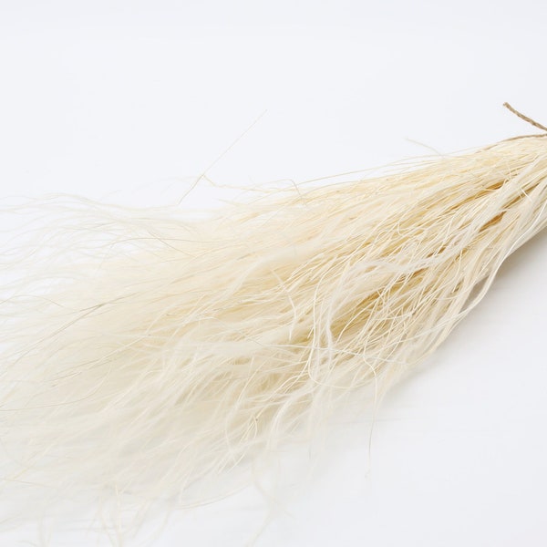 White Dried Stipa | Feather Stipa Pennata | Vase Filler | Wedding Decoration | Dried Flower Bouquet | Bleached Dried Grass | White Deco