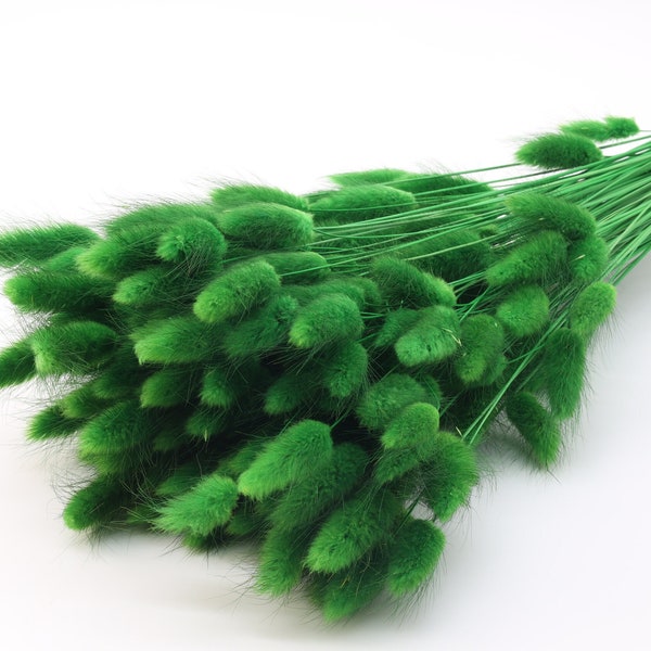 120 pcs Dark Green Lagurus | Dried Grass | Green Bunny Tails | Christmas Table Decor | Green Wedding | Dried Flower Bouquet | Floral Gift