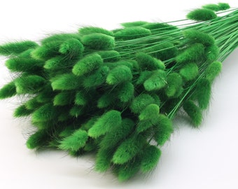 Dark Green Lagurus | Dried Grass | Green Bunny Tails | Christmas Table Decor | Green Wedding | Dried Flower Bouquet | Floral Gift for Woman