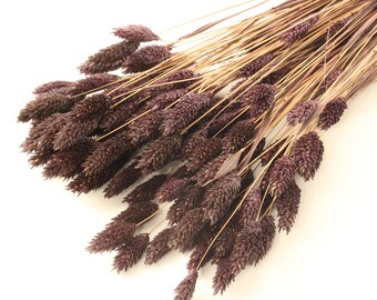 Brown Dried Phalaris | Dried Grass Bouquet | Chocolate Brown Canary Grass | Fall Decor | Floral Arrangement | Wedding Deco | Gift for Her