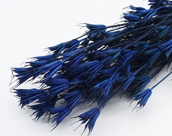 Dried Navy Blue Nigella Bunch | Dark Blue Wedding Decor | Vase Flowers | Blue Bridal Bouquet | Love In A Mist Flower | Nigella Orientalis