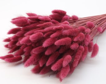 120 pcs Lagurus séchés vin rouge | Bouquet d'herbes séchées | Queues de lapin de Bourgogne | Fleurs de mariage | Décor de Noël bordelais | Centre de table