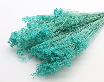 Turquoise Bloom Broom Bunch 75 grams | Bloom Broom Flower | Small Dried Flowers | Blue Bouquet Filler | Summer Wedding | Dried Flower Crown