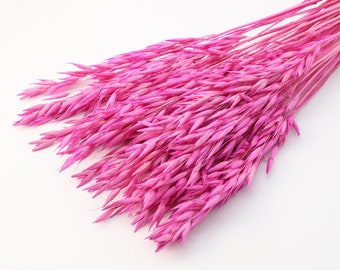 Pink Dried Oats | Dried Flower | Pink Wedding | Vase Filler | Dried Avena Oat | Bridal Bouquet | Interior Decoration | Nursery Deco | Gift