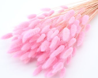 Light Pink Lagurus | Pink Bunny Tails | Dried Grass Bouquet | Pink Wedding Decor | Vase Filler | BabyShower | Pink Dried Flowers