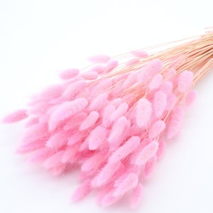 Light Pink Lagurus | Pink Bunny Tails | Dried Grass Bouquet | Pink Wedding Decor | Vase Filler | BabyShower | Pink Dried Flowers