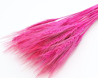 35 pcs Fuchsia Pink Dried Wheat | Pink Dried Flowers | Dried Wheat Bunch | Pink Decor | Rustic Wedding | Pink Wreath | Flowers for Crafts