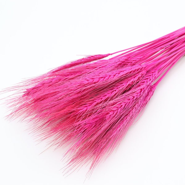 40 pcs Fuchsia Pink Dried Wheat | Pink Dried Flowers | Dried Wheat Bunch | Pink Decor | Rustic Wedding | Mothers Day | Flowers for Crafts