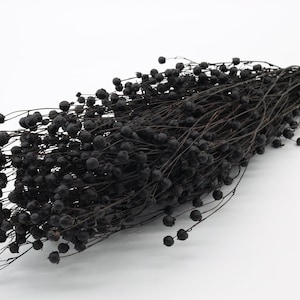 Linum noir séché 70 gr | Lin séché | Bouquet de lin séché | Fleurs séchées noires | Fleurs de lin Rin | Mariage noir | Bouquet noir | Halloween