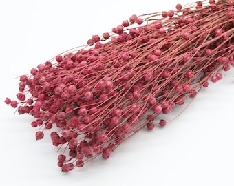 80 grams Magenta Dried Linum | Dried Flax Bunch | Wedding Flowers | DIY Home Decor | Dried Grass | Table Centerpiece | Dried Bouquet