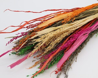 Dried Panicum Grass | Colorful Wild Dried Grass Bundle | Natural Decor | Floral Arrangement | Dried Millet Bunch | Dried Flowers for Wedding