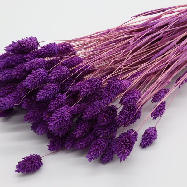 Purple Dried Flower - Etsy