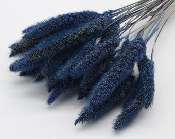 Navy Blue Dried Setaria Bunch | Indigo Blue Foxtail Millet | Dark Blue Dried Grass | Blue Bridal Bouquet | Wedding Decoration | Dried Flower