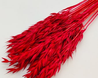 30 pcs Red Dried Oat Bunch | Dried Avena Bundle | Red Dried Flower | Wedding in Red | Vase Filler | Rustic Home Deco | Christmas | Valentine