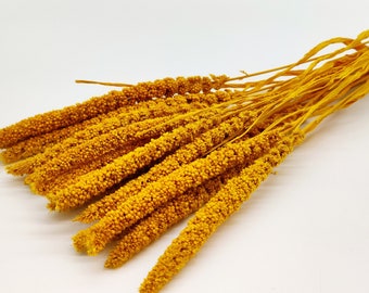20 pcs Yellow Dried Setaria Grass | Dried Flowers Bouquet | Yellow Dried Grass | Vase Filler | Autumn Arrangement | Yellow Foxtail Millet
