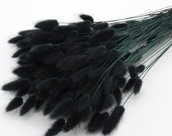 Dried Black Lagurus | Dried Grass Bunch | Bunny Tails | Rabbit Tails | Black Gothic Wedding Flowers | Home Table Decor | Black Dried Foliage