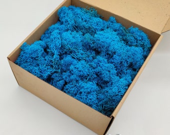 Blue Finnish Reindeer Moss | Preserved Moss | Wall Art | Table Centerpiece | Moss for DIY Crafts | Natural Interior Decoration | Gift Ideas