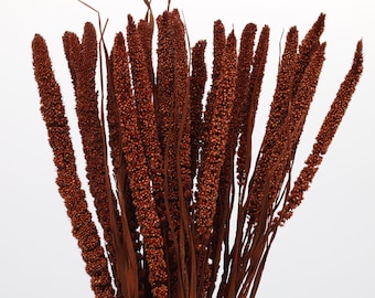 20 pcs Dark Orange Dried Setaria Grass | Dried Flowers Bouquet | Orange Dried Grass | Vase Filler | Autumn Decor | Brown Foxtail Millet