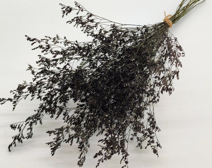 Black Dried Static Dried Limonium Bunch Black Home Decor Black Dried