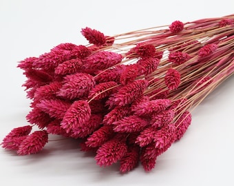 80pcs Pink Dried Phalaris | Pink Canary Grass | Dried Grass Bunch | Pink Dried Flowers Bouquet | Wedding Decor | Interior Decor | Gift Ideas