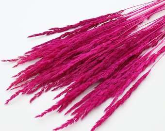 Pink Fuchsia Pampas Grass | Dried Flowers Bouquet | Pink Dried Grass Bundle | Dried Wildflowers | Bright Pink Vase Filler | Summer Wedding