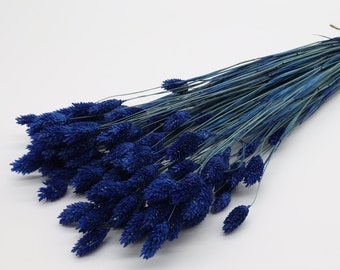 80 pcs Navy Blue Dried Phalaris | Dark Blue Canary Grass | Dried Flower Bunch | Blue Wedding Decor | Bridal Bouquet | Wedding Centerpiece