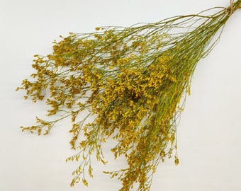 Yellow Dried Statice | Dried Limonium Bunch | Yellow Dried Flowers | Flowers for Crafts | Autumn Wedding | Summer Deco | Grass Bundle | Gift