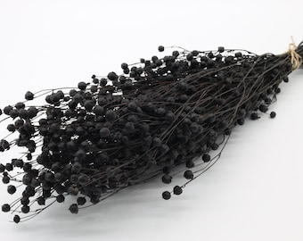 Black Dried Linum 70 gr | Dried Flax | Dried Flax Bunch | Black Dried Flowers | Flax Rin Flowers | Black Wedding | Black Bouquet | Halloween