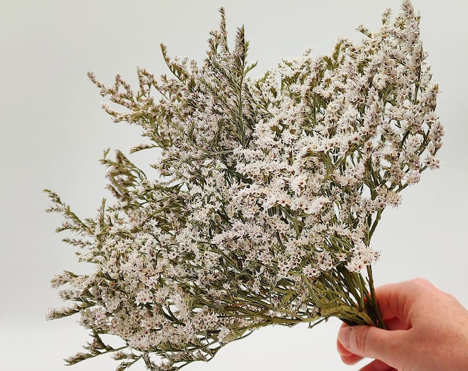 Featured listing image: Dried Statice Bunch | White Wedding Flowers | Goniolimon Tataricum | White Dried Flowers | Centerpiece | German Natural Statice | Farmhouse