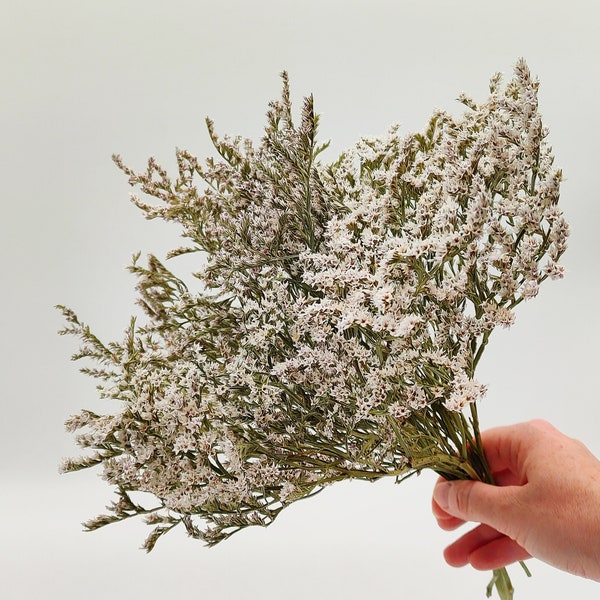 Dried Statice Bunch | White Wedding Flowers | Goniolimon Tataricum | White Dried Flowers | Centerpiece | German Natural Statice | Farmhouse