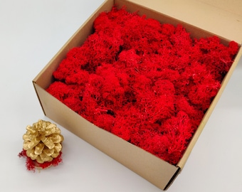 Red Finnish Reindeer Moss | Preserved Lichen | Moss Wall Art | Red Room Decor | Moss for Crafts | Christmas Decor | Red Wedding | Gift Ideas