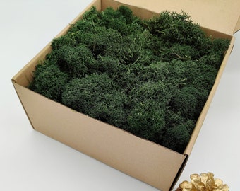 Dark Green Finnish Reindeer Moss | Moss Wall Art | Preserved Reindeer Lichen | Moss for Crafts | Rustic Decor | Wedding Aisle | Ring Pillow