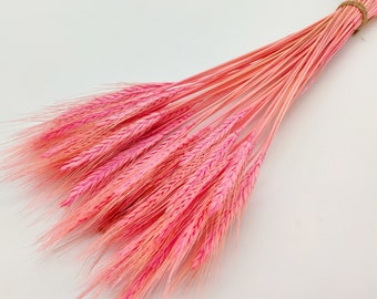 Light Pink Dried Wheat | Pastel Pink Dried Flowers | Summer Wedding | Rustic Decor | Gift For Her | Pink Bouquet | Girl Nursery Decor | DIY