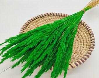 30 pcs Dried Green Grass | Dried Stems | Vase Filler | Green Dried Flowers | Dried Greenery | Home Decor | Dried Bouquet | DIY Decoration
