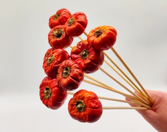 Dried Natural Pumpkins on Sticks | Fall Decoration | Miniature Pumpkins | DIY Orange Floral Arrangement | Halloween | Thanksgiving Day Decor