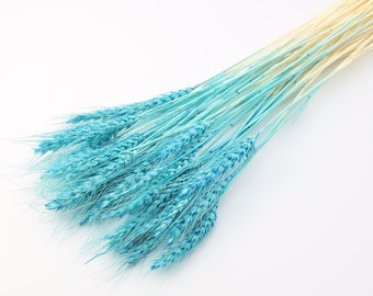 Light Blue Dried Wheat | Dried Triticale Bunch | Blue Wedding Flowers | Blue Floral Arrangement | Dried Flower Bouquet | Pastel Blue Decor