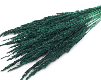 35 pcs Dark Green Pampas Grass | Mini Pampas Grass Bunch | Dark Green Dried Flowers | Dried Greenery | Flowers for Wedding | Christmas Decor