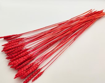 Red Dried Wheat | Red Dried Wheat Bunch | Dried Flowers | Country Style Decor | Red Dried Grass | Dried Flower Bouquet | Wreath Making | DIY