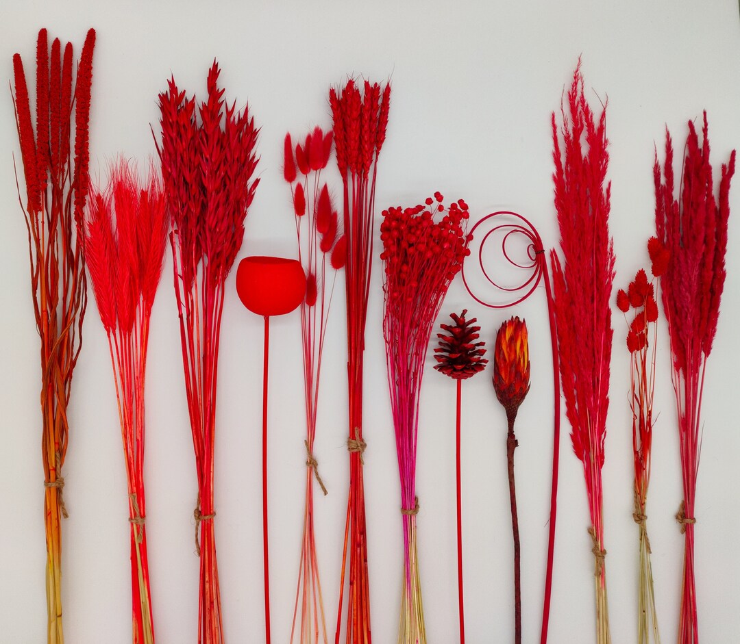Red Dried Flowers DIY Dried Flower Bouquet Create Your Own Flower