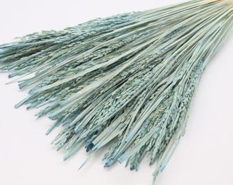 Light Blue Dried Rice Stems Bundle - 40pcs | Rice Branches | Pastel Blue Bridal Bouquet | Dried Rice Ears |Wedding Deco in Blue | Rustic